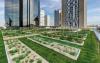 Green roof with lawn and vegetable patches surrounded by scyscrapers